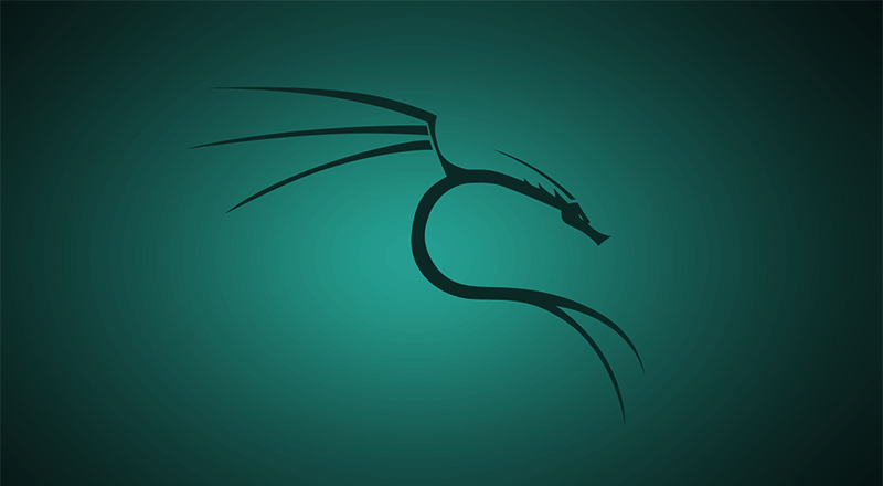 Kali Linux 2025.3 arm64